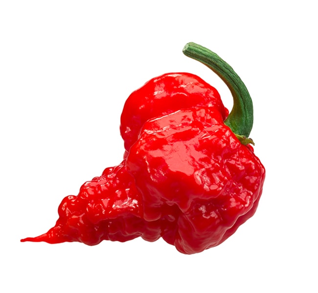 foto Carolina Reaper