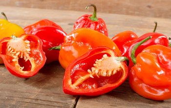 Habanero, peperoncini davvero hot: una cultivar tutta da scoprire